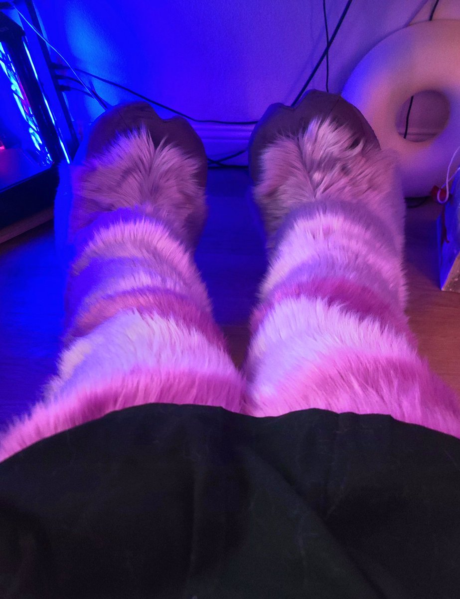 SnooziMoo's tweet photo. Stompers! 💙💜 https://t.co/Cwiv8F7Yd7