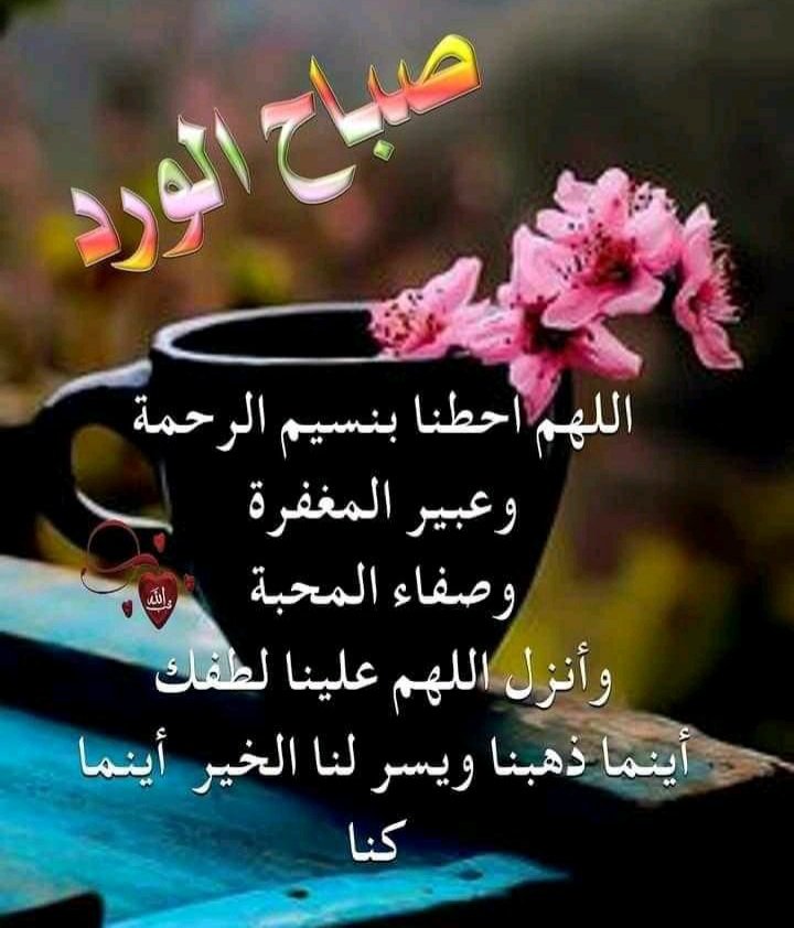 ⛅️ #إشراقة_الصباح
قديكون في خزائن الغيب لك من التمكين والأرزاق ما يفوق آمالك لكنهاإن أتتك الآن على ضعفٍ في إيمانك قدتفتنك فيبتليك ربك ويربيك حتى تترقى في سلم عبوديته وتتسلح
بإيمان يحميك،حتى إذا جاءت وقت مايراه بحكمته خضعت
لرازقك وأخبت وزدت إيمانًا
ويقينًا فيجتمع لك خير الدرين