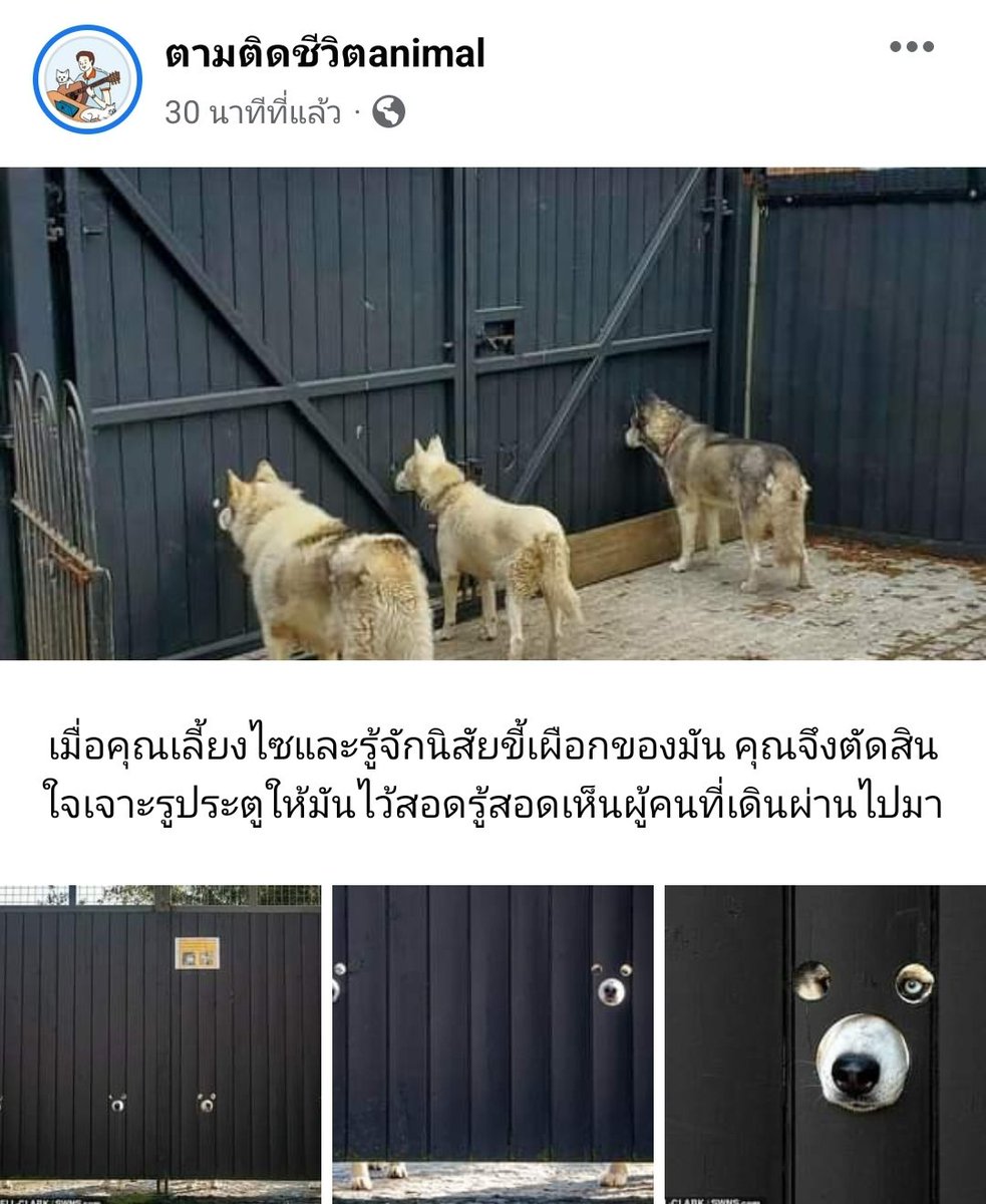 โอ้ยยย 5555555
cr: ตามติดชีวิตanimal