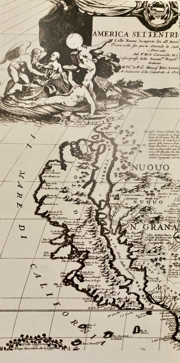 Adrian Covert 🇺🇸🥑⚾️ tweet media