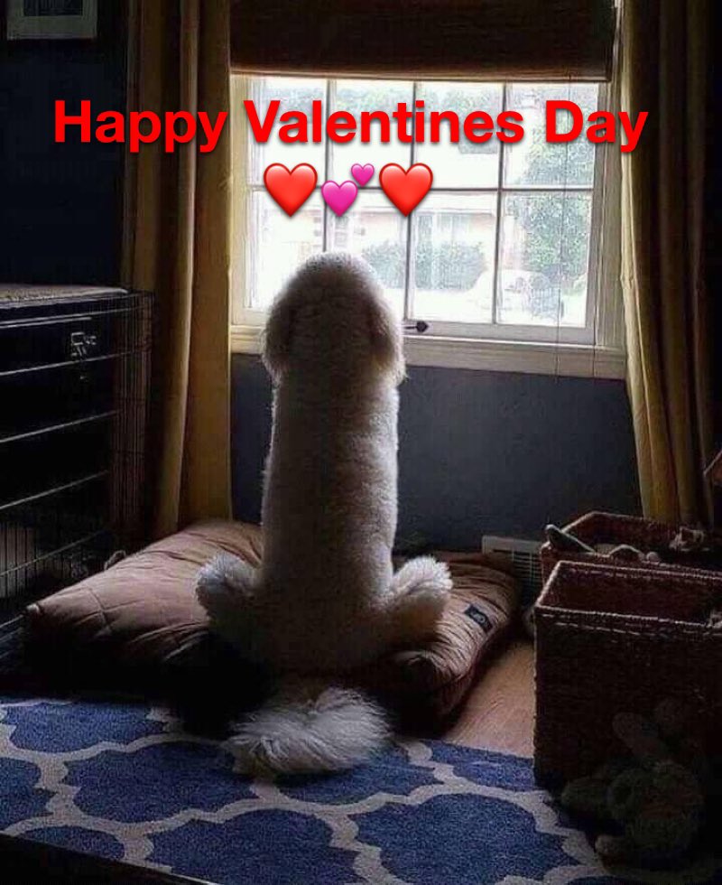 HemptressRaven's tweet photo. @Lwelton73 @SayKristin @Greengiggles420 @Rebecca84610720 @xxxxxx422xxxxxx @Sungrowsmary @ThePadrePuff @RebelDella @buylowgreen @gooodvibess12 @medicalgrower42 @LouMedicated @LoupeyGardener @yolo_sw4g420 @Yarnartist93 @rustikgrower @420beachbunny @SoullyGoodVibes @MakeItAQuoteJP @UrbFinestFlower @Mmemberville_ Glad you liked! 🤣 #MindsInTheGutter holiday special! 🤣 https://t.co/PZ8HNlMHmX