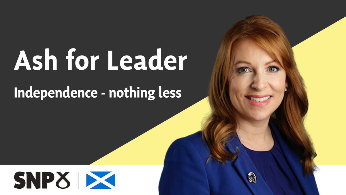 I am announcing my candidacy to be the next leader of the Scottish National Party. I will reinvigorate the party, give power to the members and take our party on to further success. Independence - nothing less.