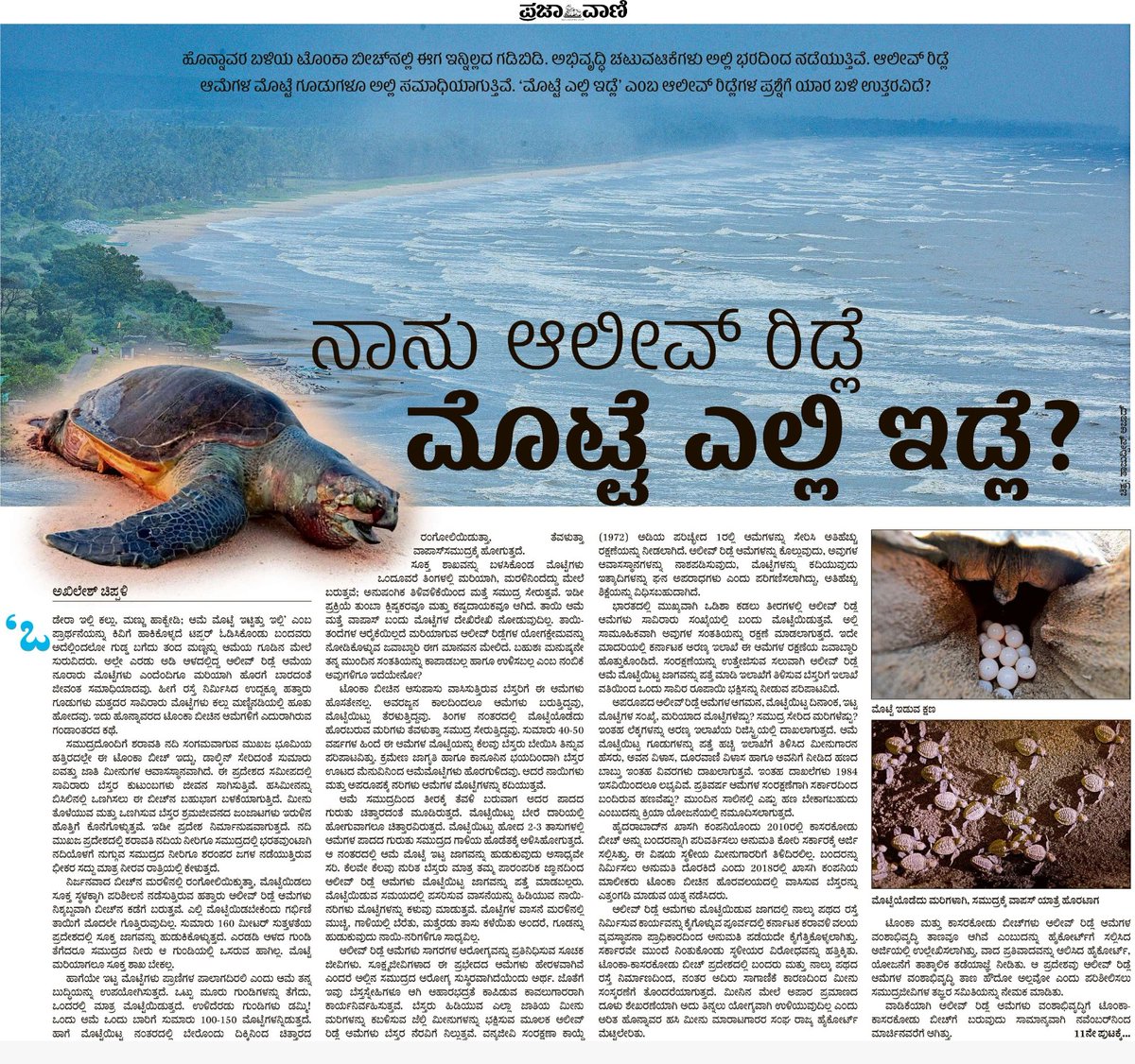 _Nishchita's tweet photo. ಹೊನ್ನಾವರದ ಟೊಂಕದಲ್ಲಿ ಇನ್ನಿಲ್ಲದ ಗಡಿಬಿಡಿ. ಸಾಲು ಸಾಲು ಅಭಿವೃದ್ಧಿ ಚಟುವಟಿಕೆಗಳು ಕನ್ನಡದ ಕರಾವಳಿಯತ್ತ ಹರಿದು ಬರುತ್ತಿವೆ. ಆಲೀವ್ ರಿಡ್ಲೆ ಆಮೆ ಮೊಟ್ಟೆಗಳ ಗೂಡನ್ನು ಸಮಾಧಿ ಮಾಡುತ್ತಿವೆ. ಪಾಪಾ ಆ ಜೀವಿಗಳಿಗೆ ನಮ್ಮ ಹಾಗೆ ಮಾತು ಬಂದಿದ್ರೆ ನ್ಯಾಯ ಕೇಳುತ್ತಿದ್ದವೇನೋ!! ಅಮಾಯಕ ಜೀವಿಗಳ ಮೇಲೆ ಸಮಾಧಿ ನಿರ್ಮಿಸಿ ಅಭಿವೃದ್ಧಿಯ ಉತ್ತುಂಗದಲ್ಲಿ https://t.co/uTx4ONJfh1