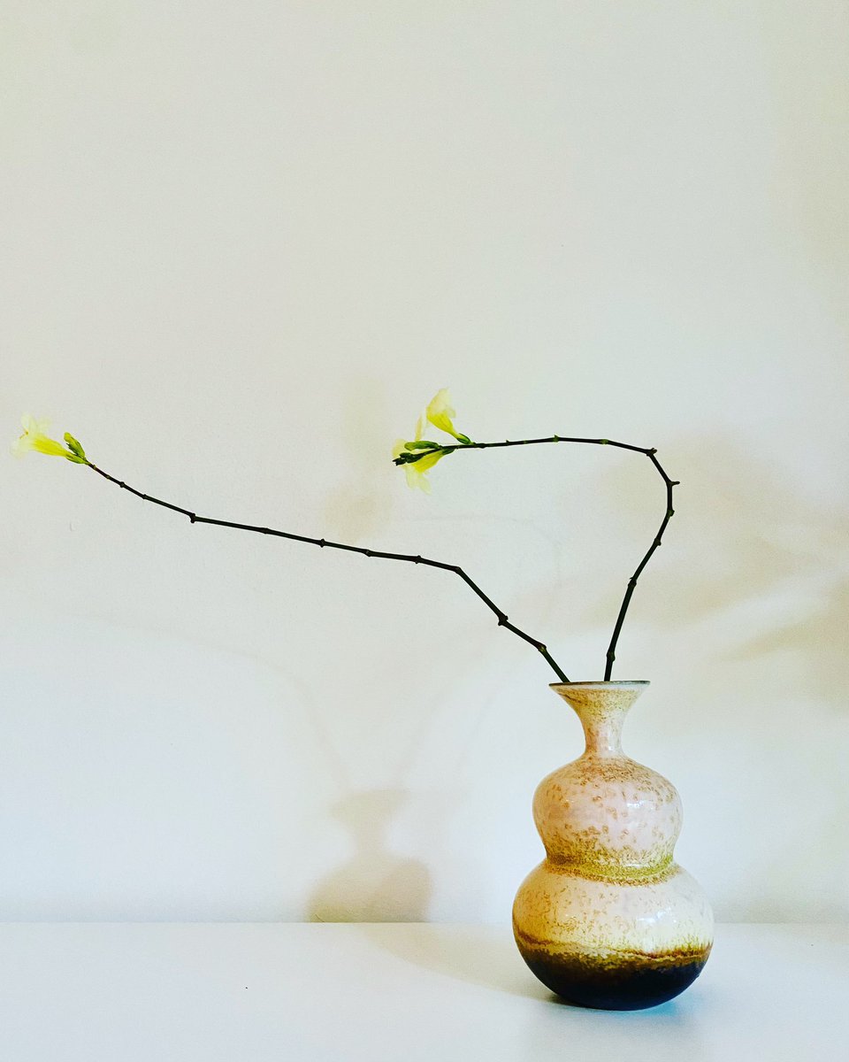 rosemary overell ♐️ tweet media