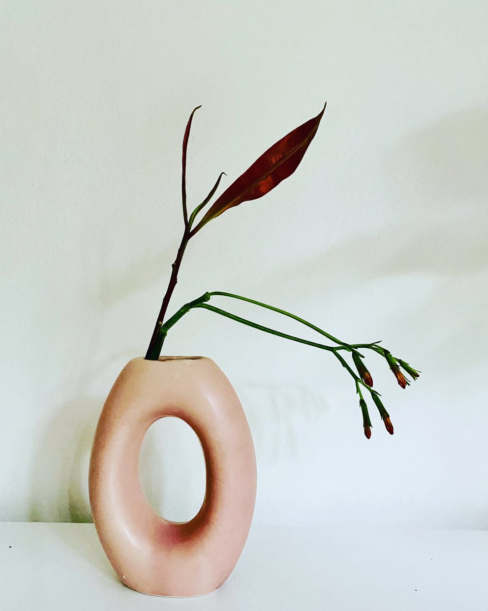 rosemary overell ♐️ tweet media