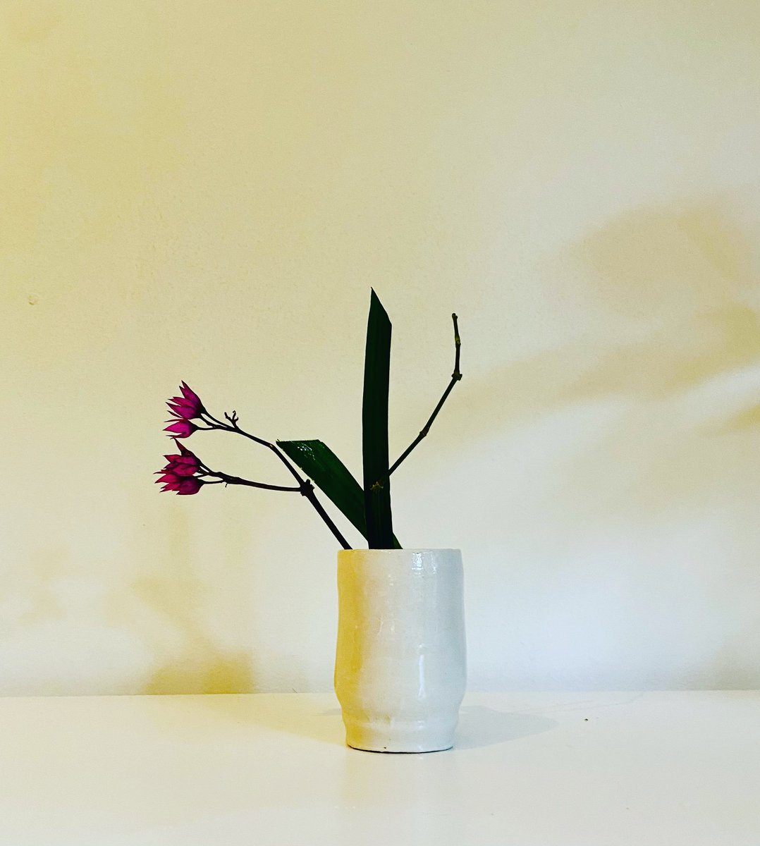 rosemary overell ♐️ tweet media