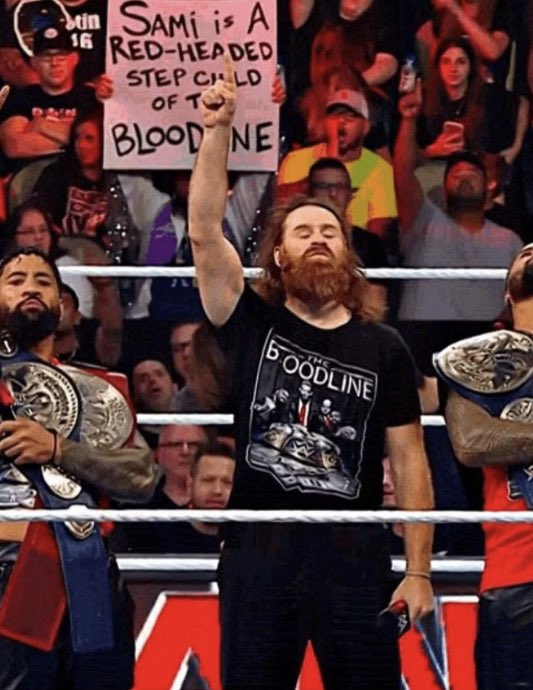 Wrestle Signs (@wrestiingsigns) on Twitter photo 