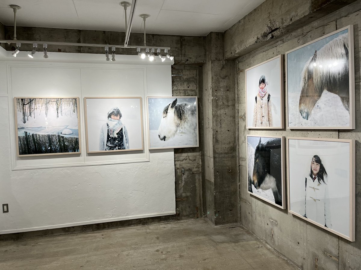 taishi_radiaka's tweet photo. トーカマヒロさんの写真展「Frozenlight」見に行ってきました
厳しい極寒の大自然の中で生きる人たちの笑顔、生き様と動物の生命力はほんとに尊いものでそれをカメラに収めるトーカさんの思いが込められたそんな写真展でした。
#Frozenlight #トーカマヒロ写真展 https://t.co/D1W5rQAAnp