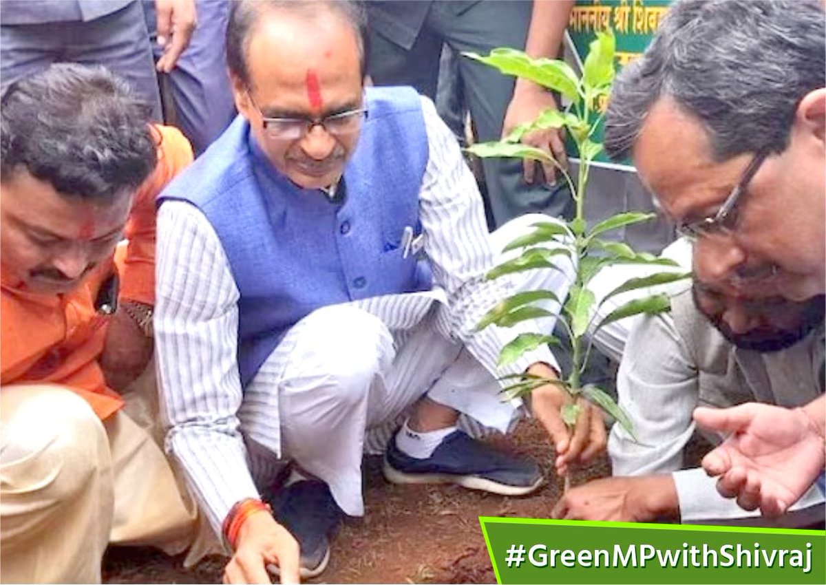 every people now started planting tree by seeing their honorable chief minister and their great work. #GreenMPwithShivraj