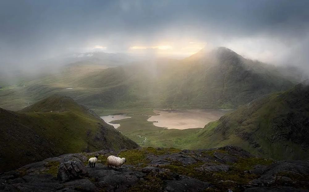 alch_nft's tweet photo. "I know you think I’m crazy. Maybe that’s because I am. About life, about this moment, about you!" - Crystal Woods 🌟

#NFTs #NFTcommunity #photooftheday 
#sunrise #sonymirrorless 

Photography Artist: 📸felix.sproll https://t.co/zceLTxpK1y
