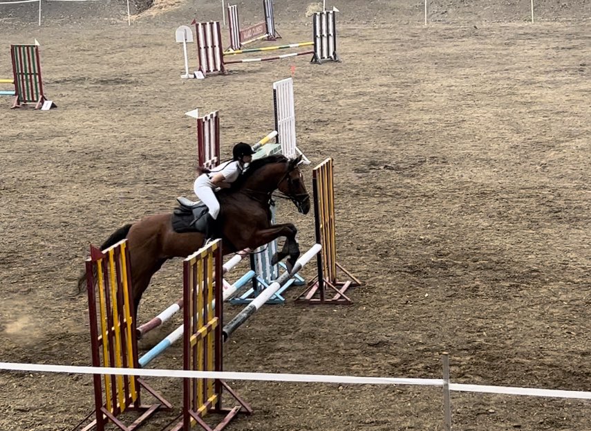 kavyahaha's tweet photo. ~open jumping 85cms
~clear round (zero penalties) in a timing of 53.64 seconds
~good horse https://t.co/m2pP7SRqcg
