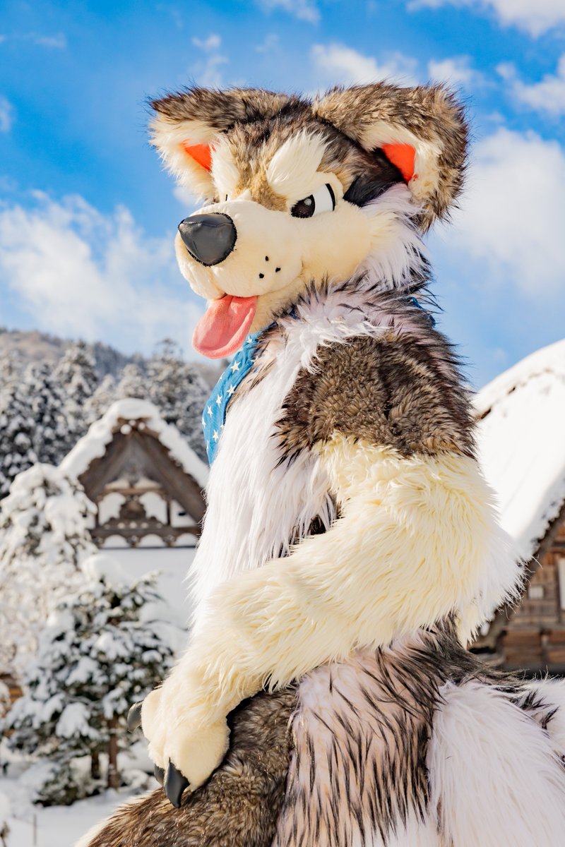 マル・デ・イヌ tweet media