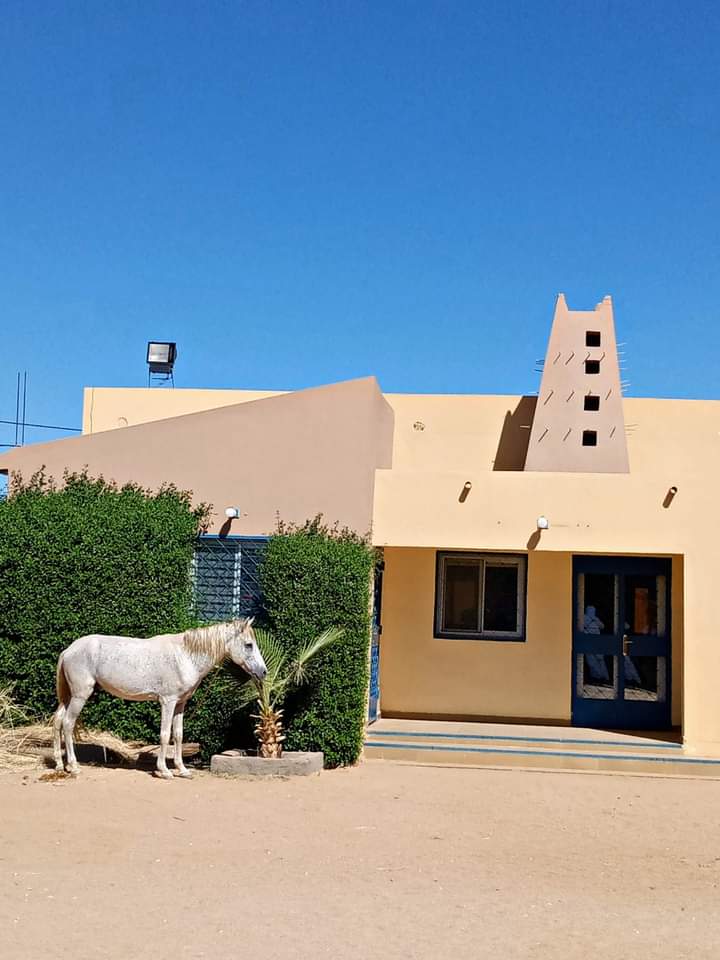 Obianou's tweet photo. Excellent dimanche depuis Sultanat de L'Aïr #Agadez
#VisitAgadez #Masnat
📸: Prince Alka https://t.co/xMgxyz8gyG