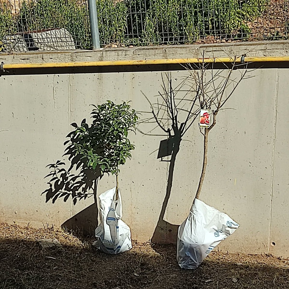 afaescolaelcorb's tweet photo. L'abans.... 💪
I ja veureu com quedarà tot després 🤩

Perquè entre tots ho podem tot!!! 🎊 https://t.co/rzQDlijEit