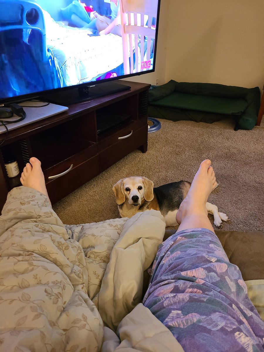 Under the watchful eye of the #beagle 🐶❤️ Home recovering from surgery with my fur babies.   Awake at 330 am....and still at 5am 📺 Why can't #OBX3 be available NOW 😭 <a href="/CharlesEsten/">Charles Esten</a> Looking #forWARD to it...