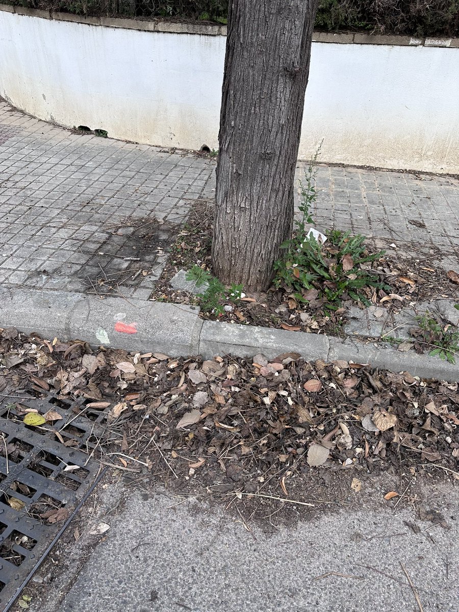 Salir a pasear por #LaCañada y encontrarla en este estado me genera mucha tristeza. Necesitamos un Plan de Mejora de Infraestructuras permanente en el tiempo, no 'parches' cuando se acercan elecciones <a href="/SagredoMarco/">Juan A. Sagredo l Alcalde de Paterna 🔥</a>