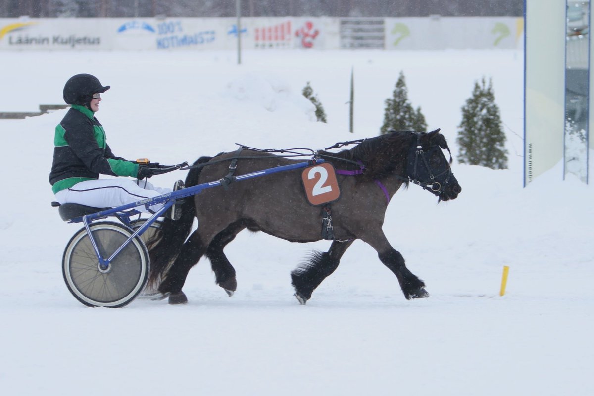 Lappeen laskiaisriehan ravilähdöt aloitettiin ponilähdöllä. Voittoon ylsi Anyan Lupin ohjastajanaan Inka Tikkanen. Voitto oli uran ensimmäinen sekä ponille että ohjastajalle. Inka Tikkanen myös valmentaa ponia jonka omistaa yhdessä Ida&amp;Iikka Tikkasen kanssa. #ravit #lappeenravit