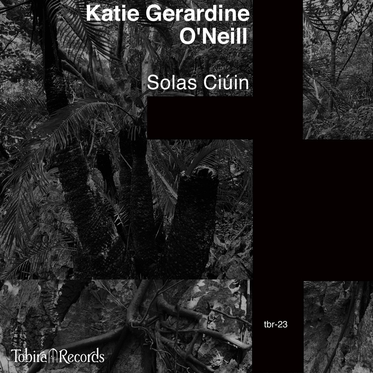 KatiegONeill's tweet image. I'm absolutely delighted to have a new tape out today on the gorgeous Tobira Records. The tape is called Solas Ciúin, meaning Quiet Light. Limited to 50 copies. 

Available here: bit.ly/SCTobira

Photography by Takahiro Yorifuji
Layout by Takahiro Fujikawa.