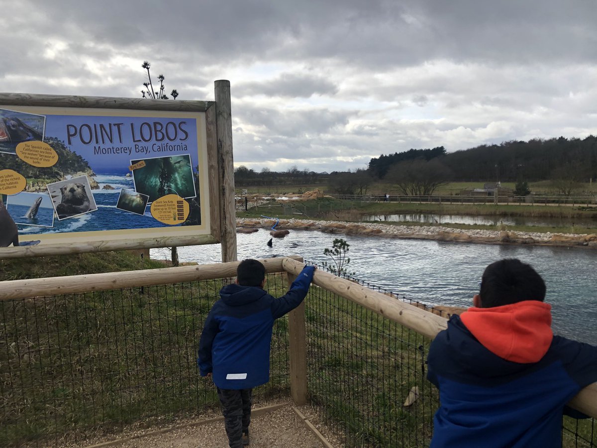 PriyaJassal's tweet photo. A play & walk at Yorkshire Wildlife Park on our way back home yesterday 😊
@BarughGreenPE
@PrimaryBg
#halftermchallenge #yorkshirewildlifepark https://t.co/nj1EKSdkmz