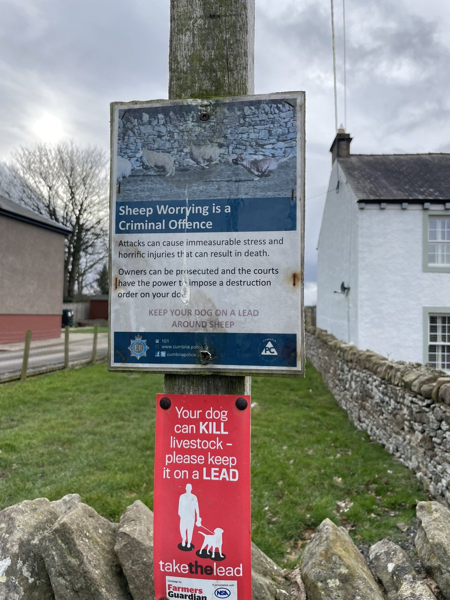 Visiting the Lake District this weekend - Senior Geographers spot the Rural land use conflicts! 🚜 #ruralgeography #LakeDistrict