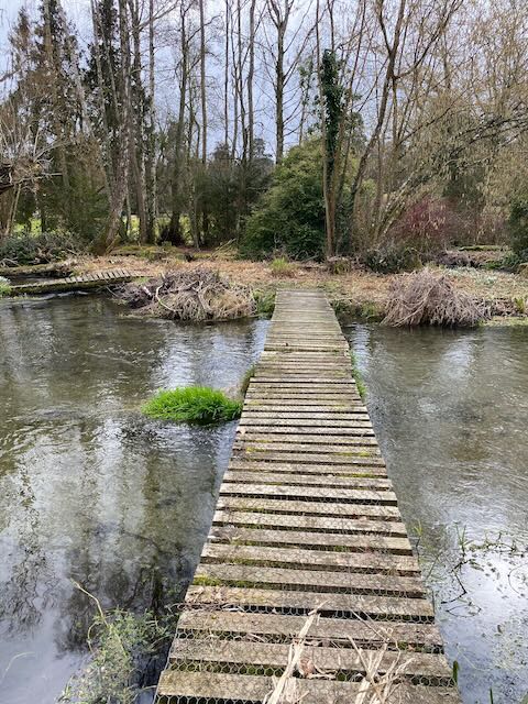 KathrynSBarrett's tweet photo. Inviting paths. Welford Park, Berkshire https://t.co/dKwm8gYNhy