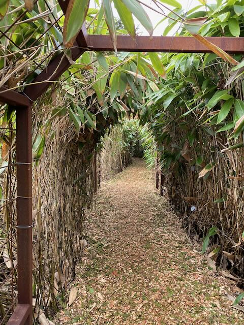 KathrynSBarrett's tweet photo. Inviting paths. Welford Park, Berkshire https://t.co/dKwm8gYNhy