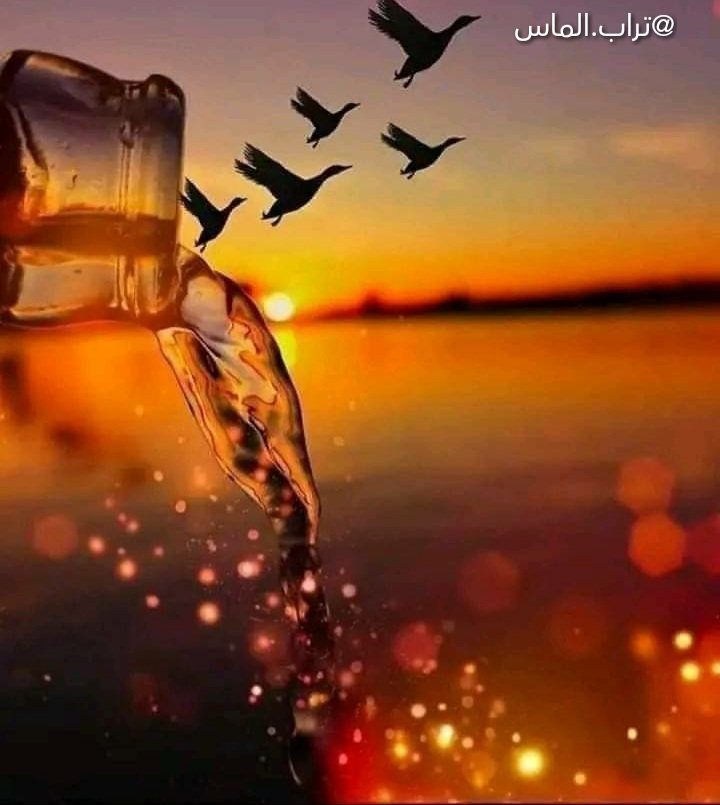 القلوب النقية كالخيول الأصيلة
تحب بعمق و تتألم بعمق و تسامح ونادرا ما تكره
الأصيل لا ينكر
إن أخذ شكر و إن رأى عيبا ستر
و إن أحب بذل
و يبقى معك في شدتك حتى و إن إختلفت معه يكون أصيل في خصامه🦋❤️🦋
لا تشدو سروجكم على غير الأصيلْ
فمقعد السرج على ظهر  غير الأصيل يميلْ