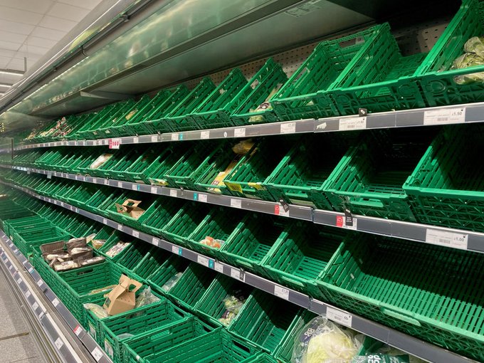 UK supermarkets. Brexshit Bonus.
Because farmers cannot afford to heat greenhouses and they no longer have EU  migrants fruit pickers,  your  shelves are empty. The lorries  from the EU  face too much red tape to deliver to Brexit Britain. Consequence for Mother Hubbard