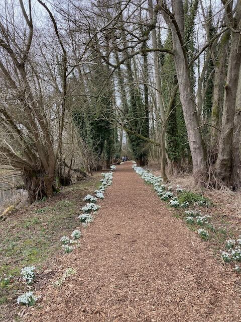 KathrynSBarrett's tweet photo. Inviting paths. Welford Park, Berkshire https://t.co/dKwm8gYNhy