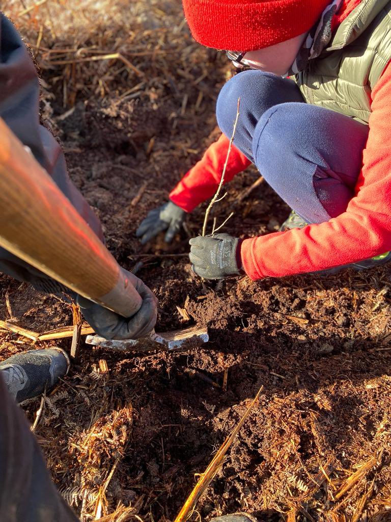 1st Helmsley Scout Group tweet media