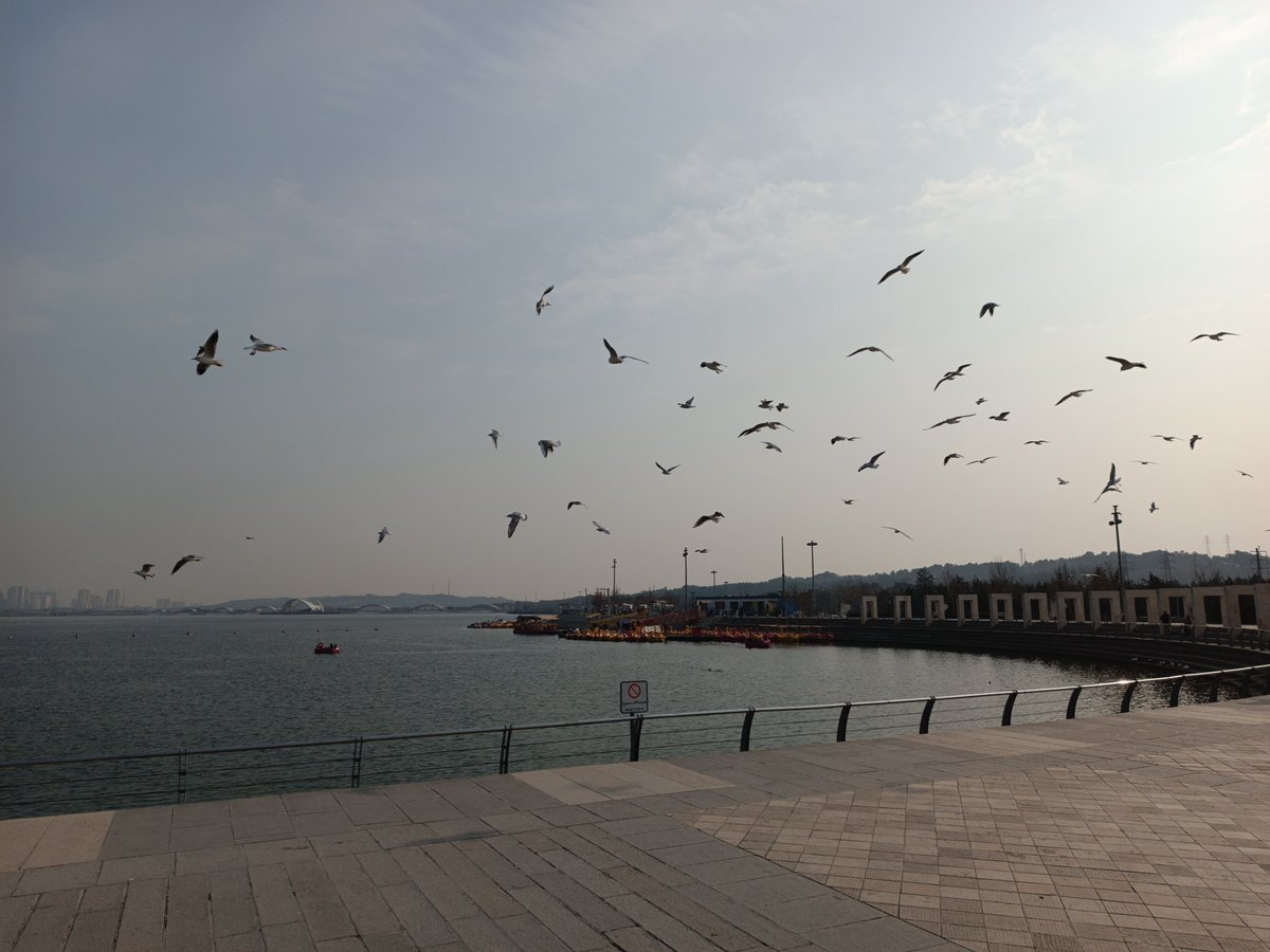 SorenaNFTs's tweet photo. I love this lake ⛵
What about you?
 #Tehran 
https://t.co/FMbaj5vRzZ

#digitalart  #NFTartist #nftart #nft #NFTcommunity #nftcollector #NFTcollectibles #opensea #lake #photography #landscape  #Tourism #SorenaNFTs https://t.co/dJnRjxLobD