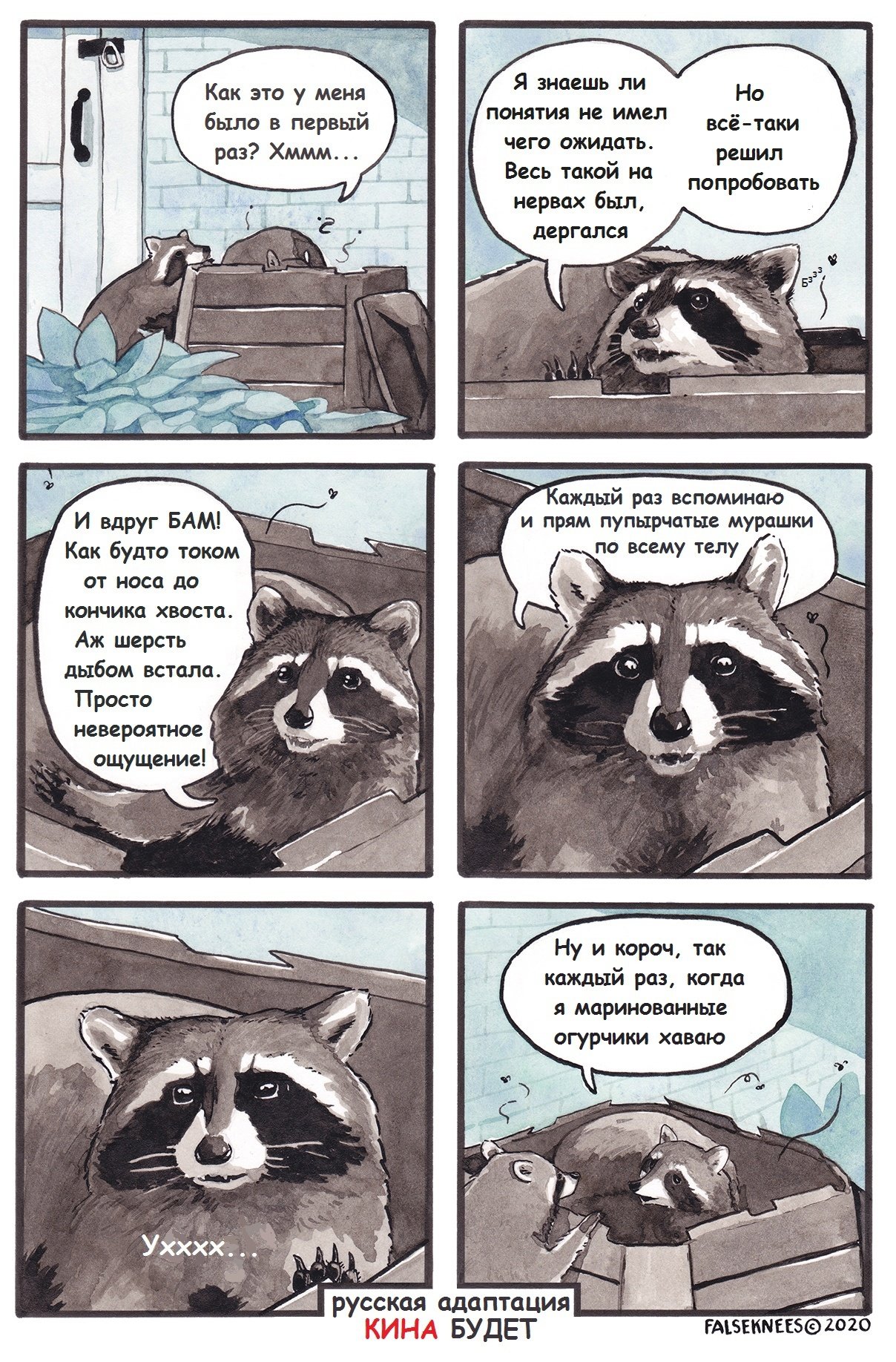 Енот комикс