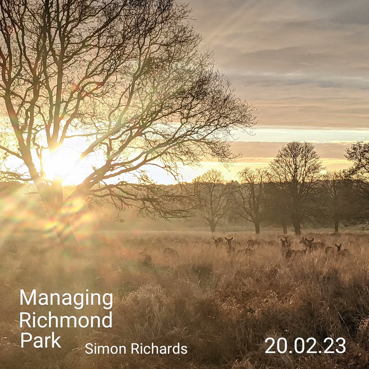 Tomorrow, Simon Richards joins us to talk about managing National Nature Reserve, Richmond Park. 6PM Live & Online KMIS.eventbrite.co.uk #kewgardens #kmis