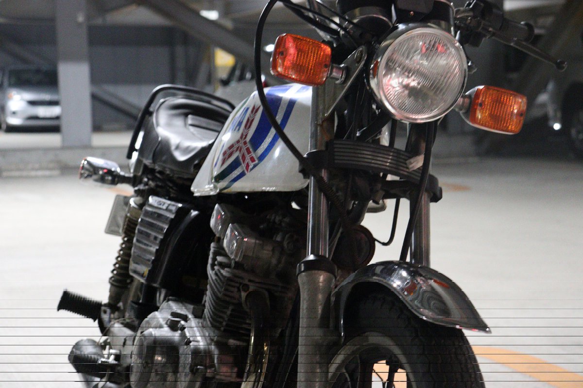 ザリ GSX250L GSX250L ザリ仕様売ります！ 45万円！ ナンバー付き！詳細リプ。