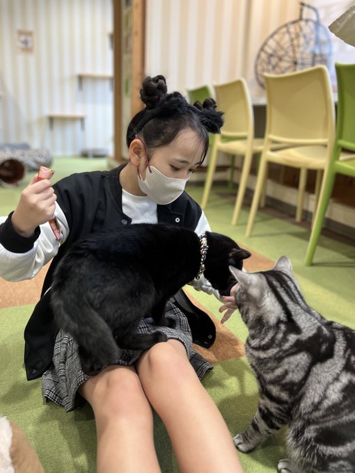 Twitterのコスプレ画像19