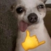 ✦ Kee tweet media
