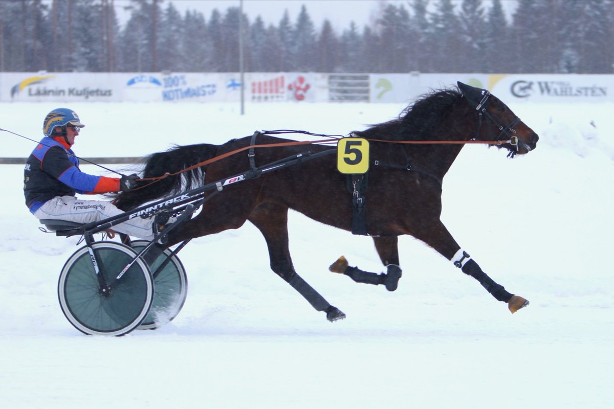 Ensimmäisen totolähdön voittoon ylsi Afterglow ohjastajanaan Arto Laaksonen. Kotiradan hevosen omistaa TMMI Stable ja sitä valmentaa Timo Ahtiainen. #ravit #lappeenravit #lappeenravirata