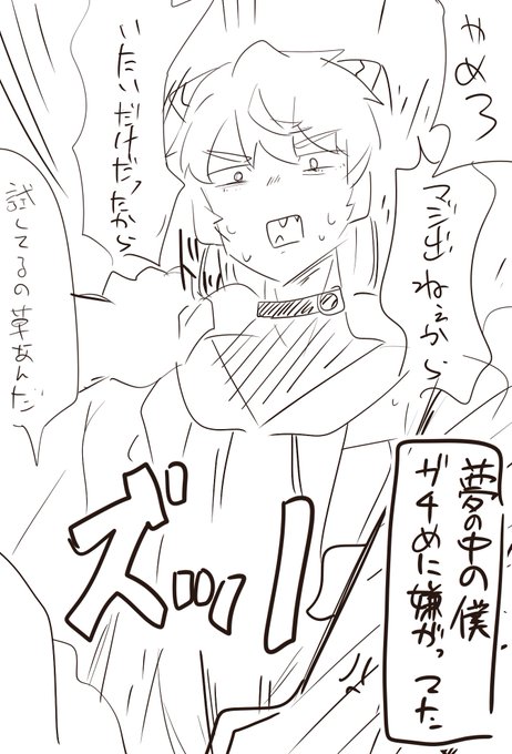 おみみの夢日記 