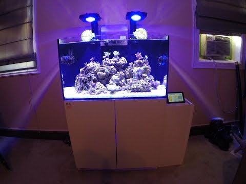 MarineFarmUK's tweet photo. Red Sea Reefer 250 Equipment Summary #radion #65g #65gAquarium #apex #Aquarium #coral #coralreef #ecotech #ecotechmarine #Neptune #NeptuneeApex #Radionxr15 #redsea #redseareefer250 #reef #reefoctopus #REEFER #reefer250 #review #Varios2 #vortech
https://t.co/SaGlDN17Jw https://t.co/0zdLdsQs6v