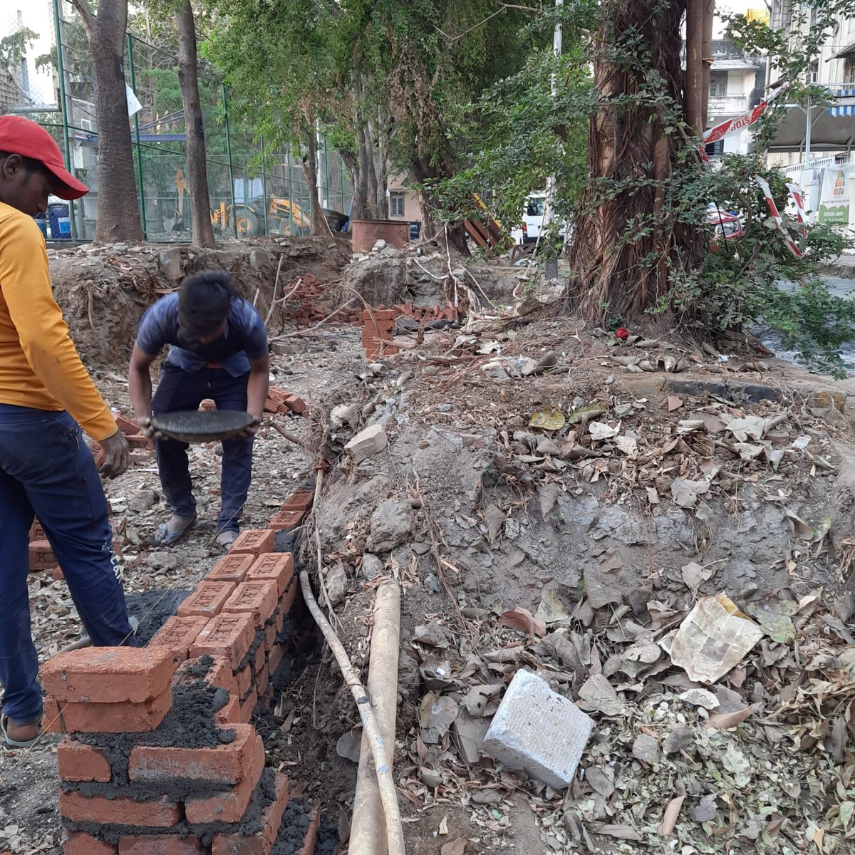 MatungaTrees's tweet photo. Thank You @mybmc @mybmcWardFN @mybmcRoads for your efforts to protect the road side trees around Indian Gymkhana, Matunga

In Gratitude 🙏🏼 https://t.co/HfgDwSXXIW