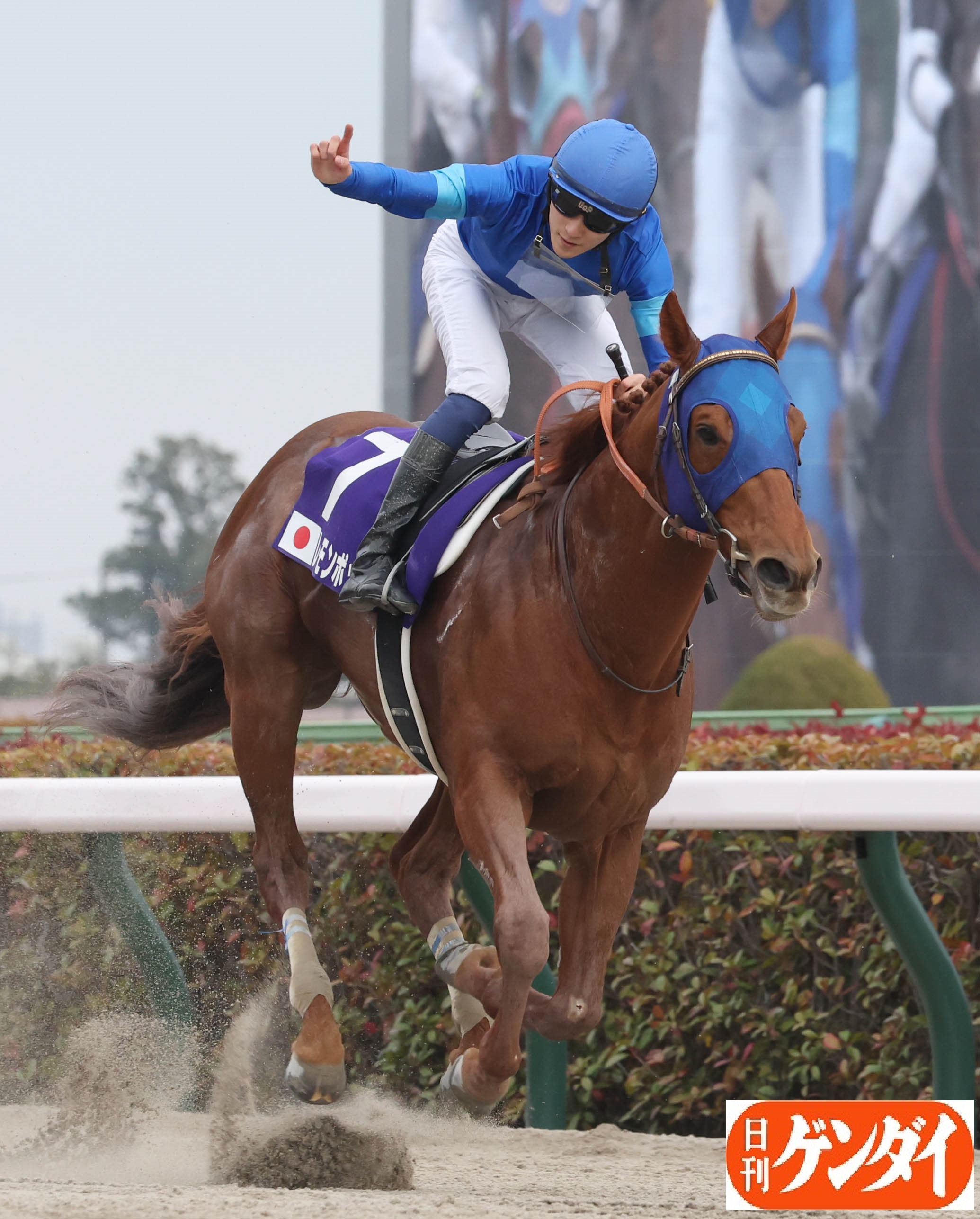 日刊ゲンダイ 競馬 on X: 日刊ゲンダイ 競馬 on X: