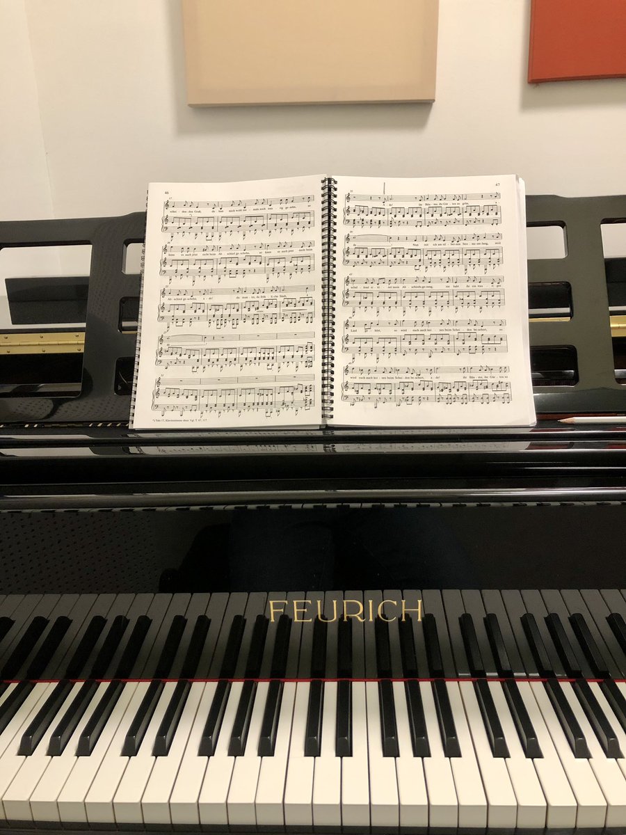 niallkinsella's tweet photo. A great week of working on Schwanengesang in Vienna! Looking forward to first performance next Sunday with @unclehooly! 🦢

🔗 https://t.co/H8VTstZ4gF https://t.co/QdBtJ5f6Ab