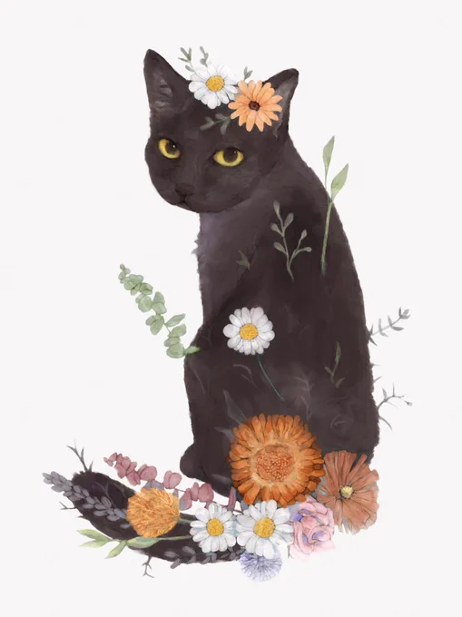  #猫 