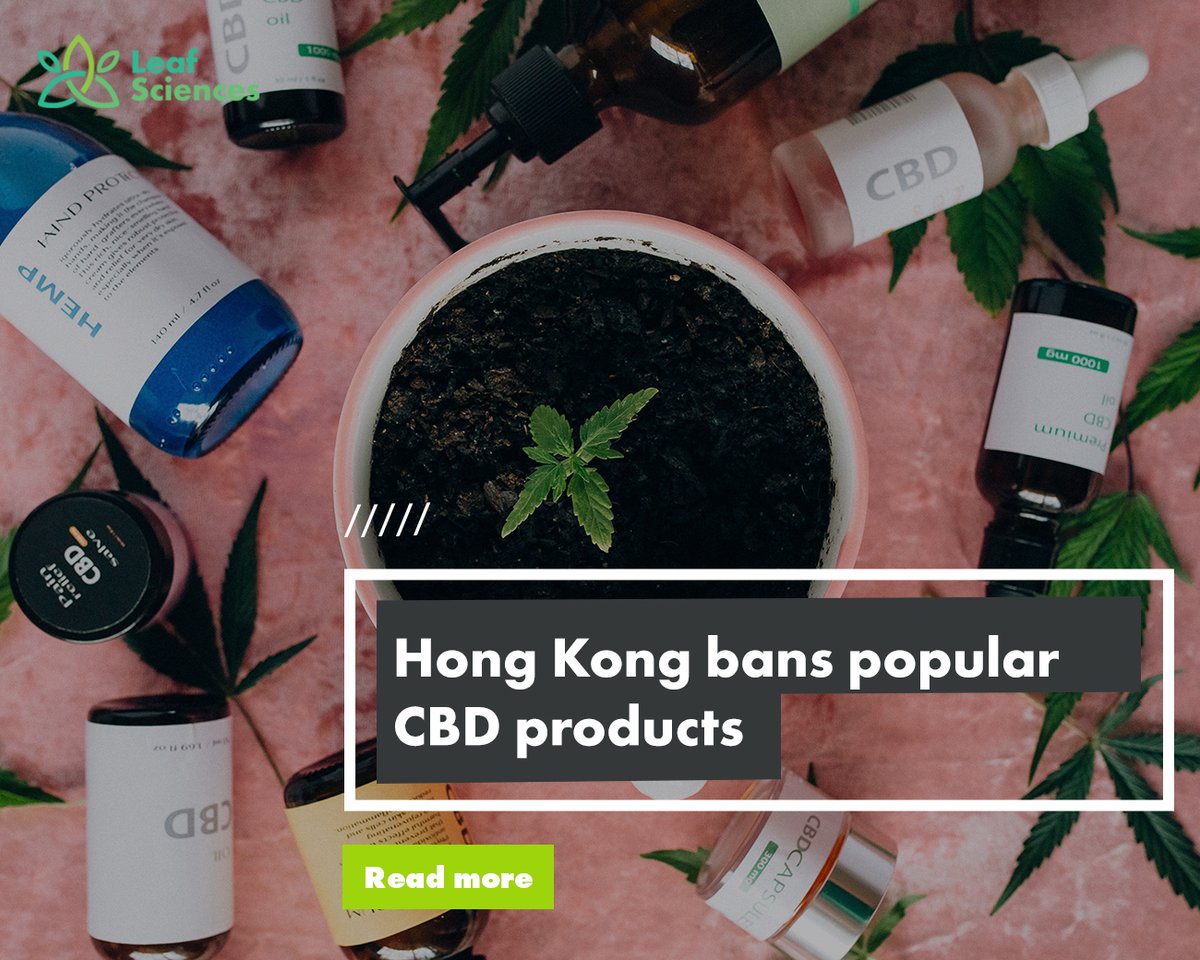 A new law in Hong Kong bans the sale and production of #CBD, imposing severe penalties and pulling the rug out from under an increasingly popular market.

Read more in this article from <a href="/MJBizDaily/">MJBiz</a>: ow.ly/66x450MSCwV 

#cannabis