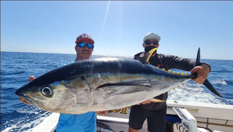 TomsCatchCom's tweet photo. Tuna Season about to start... Don't miss out! 😎 - https://t.co/U2PUz3GGq5 https://t.co/k3Xh6OA46m