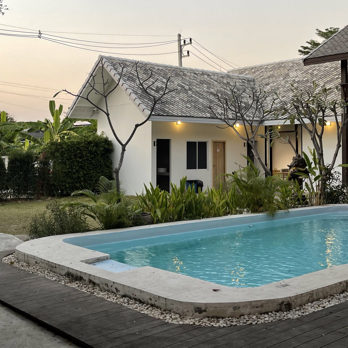 sutiฯ tweet media