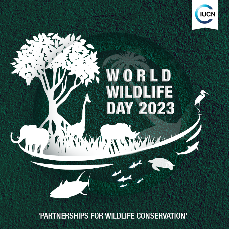 Lets celebrate all the world's wild animals and plants and the contribution that they make to our lives and the health of the planet. 
'Partnerships for Wildlife Conservation'