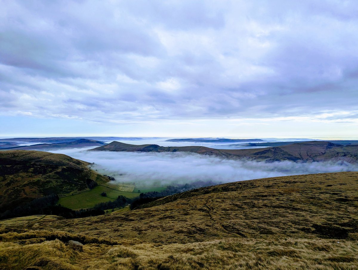 Mrs OR 🇺🇦 tweet media