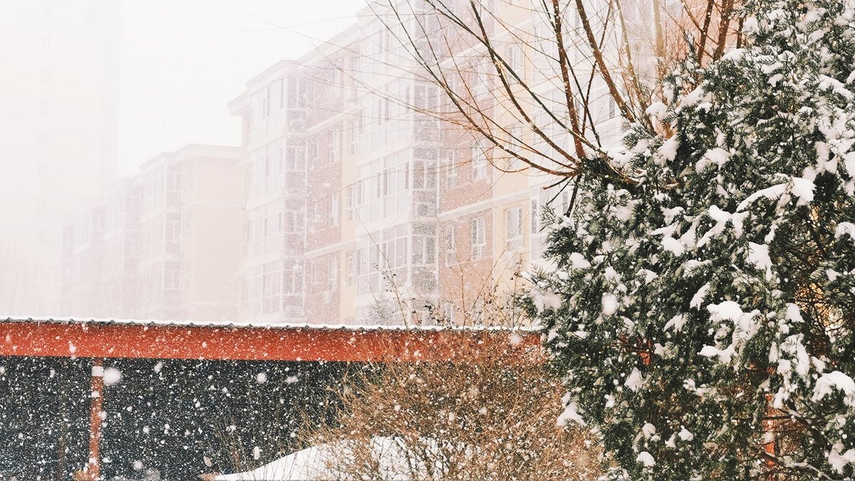 VIOLET02181's tweet photo. snow
birthday
lover https://t.co/pKP8CEkeKP