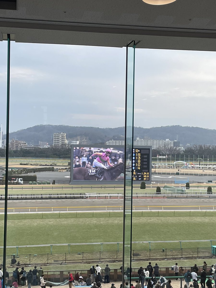 単勝と馬連の軸馬が別馬で、単勝1着、軸馬2着になってくれました。紙とパットのダブル的中は初めてかもしれません。テイエムアトムの単勝は締切5分前に買ったときには5倍以上ついていたんですがねぇ、、、